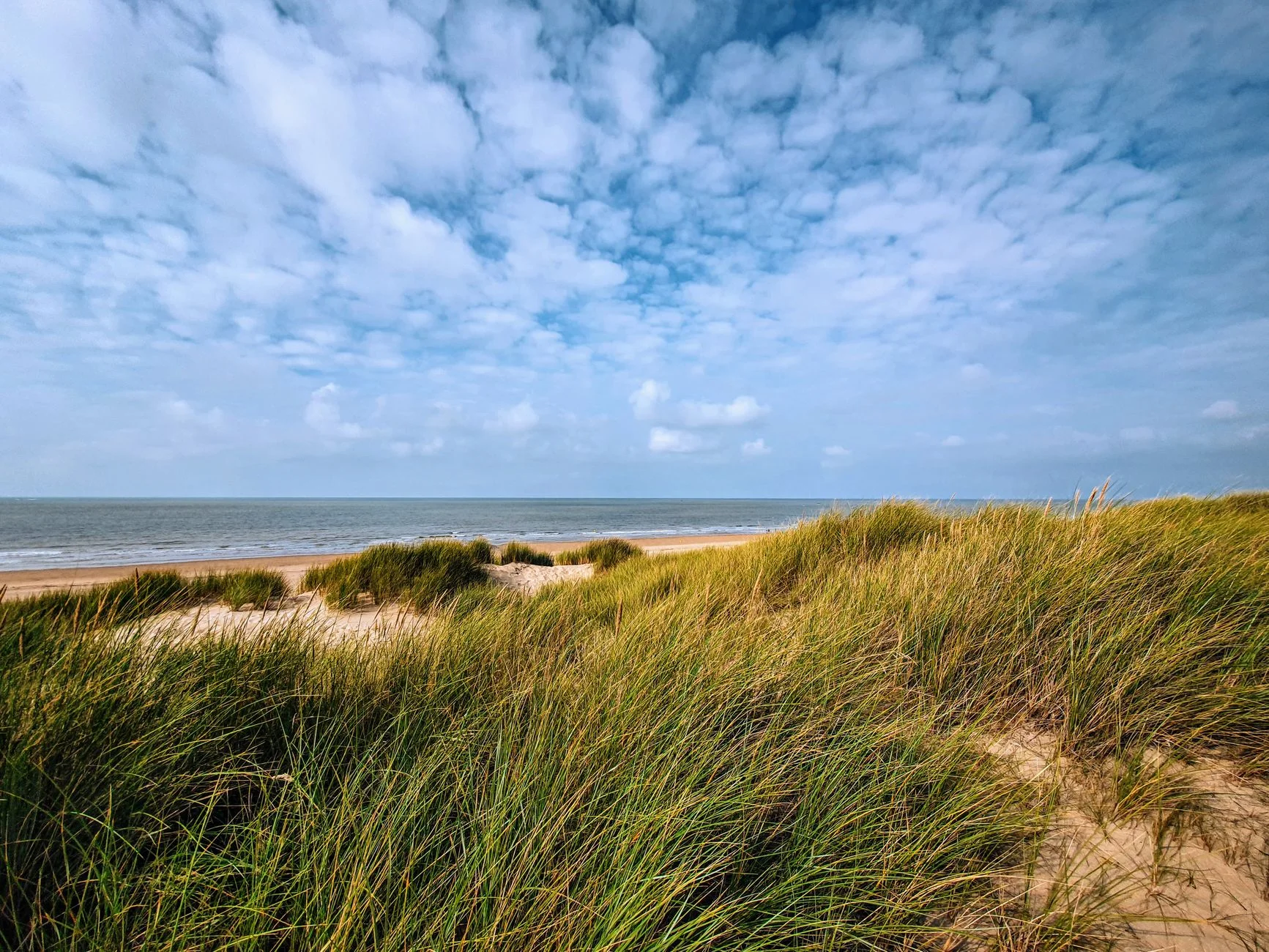 Beach with green dunes and blue sky in Ostend, Belgium.