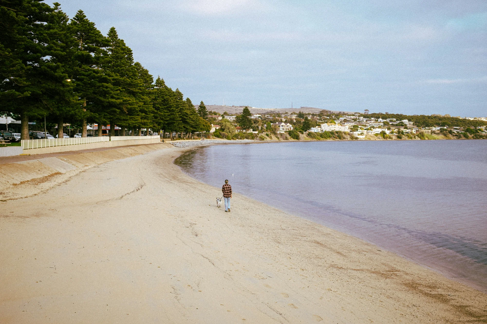 Beach in Port Lincoln, Australia, with natural scenery and a person walking a dog.