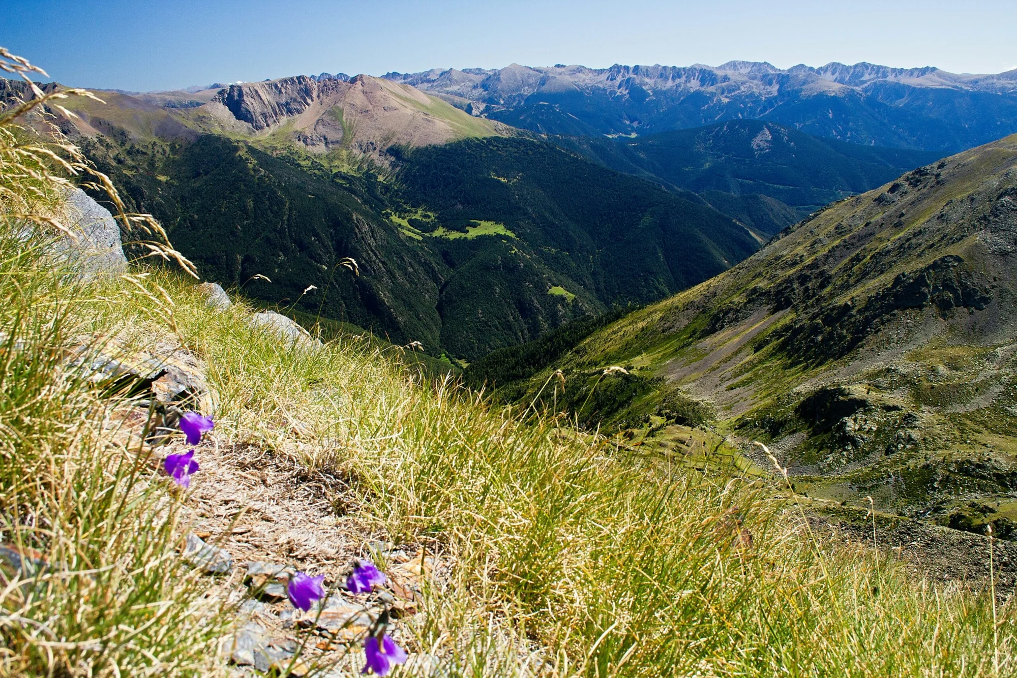 Panoramic image of the Pyrenees Mountains with hills, forests, and a clear blue sky.